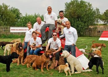 Entrusting Your Pet: the Vital Role of Professional Dog Care Services
