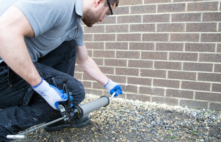 Future-Proof Your Home with Damp Proofing Suffolk Solutions